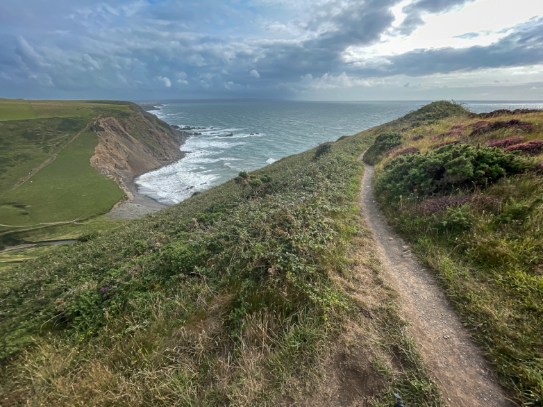 Top of the hill at Duckpool, looking South